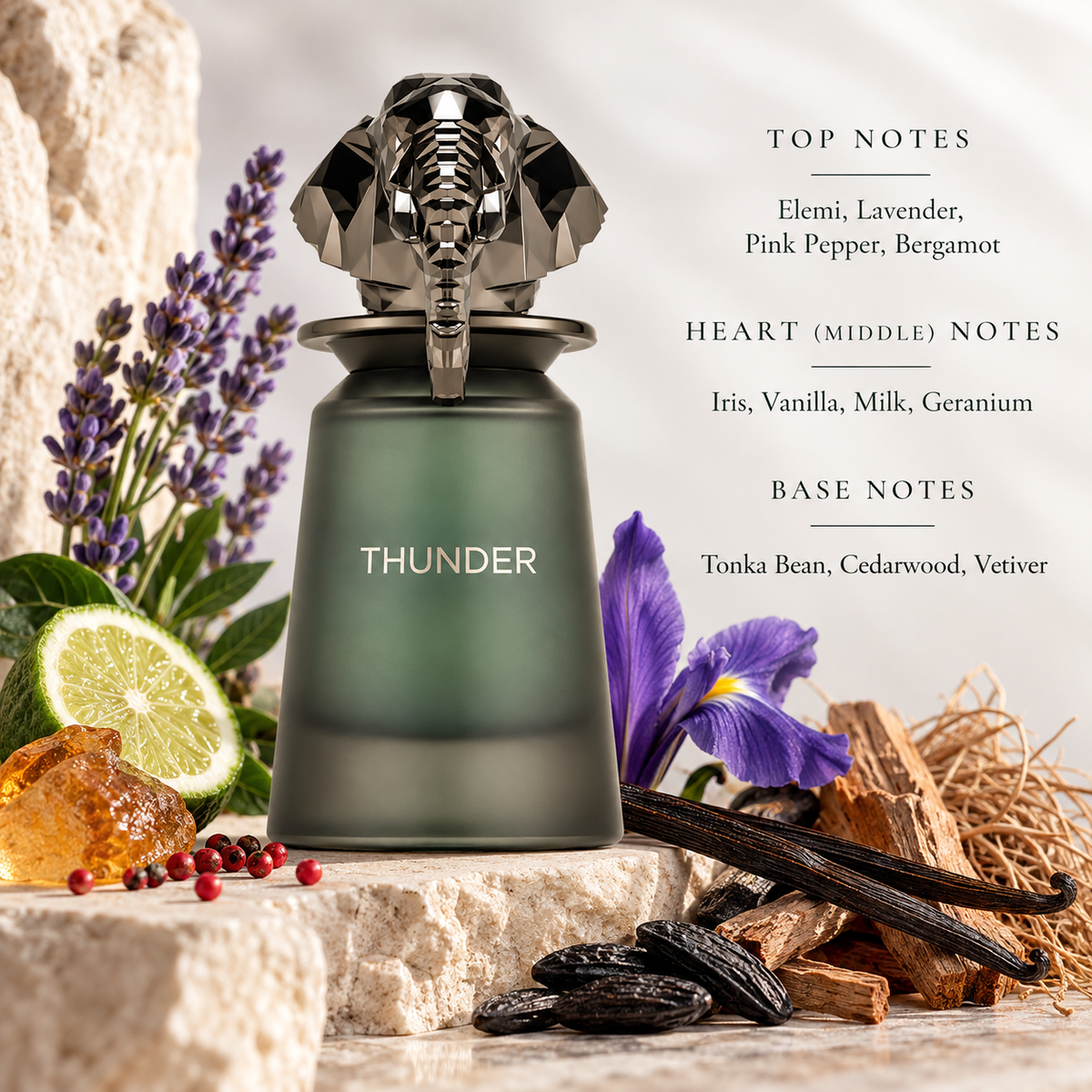 French Avenue Thunder presented in a refined aromatic-woody setting that complements its bold bottle design. Lavender, bergamot and pink pepper create a fresh aromatic opening, iris and vanilla bring a smooth creamy character to the heart, while tonka bean, cedarwood and vetiver establish a warm, elegant woody base.